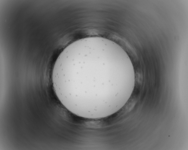 X0000086930422200705141746