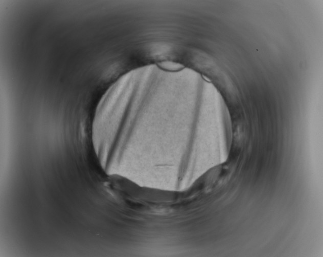 X0000086930424200705141746