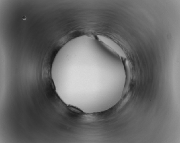 X0000086930425200705141746