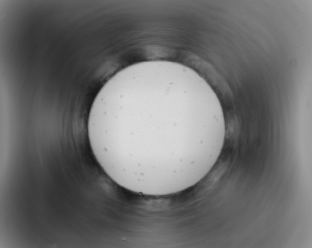 X0000086930426200705141746