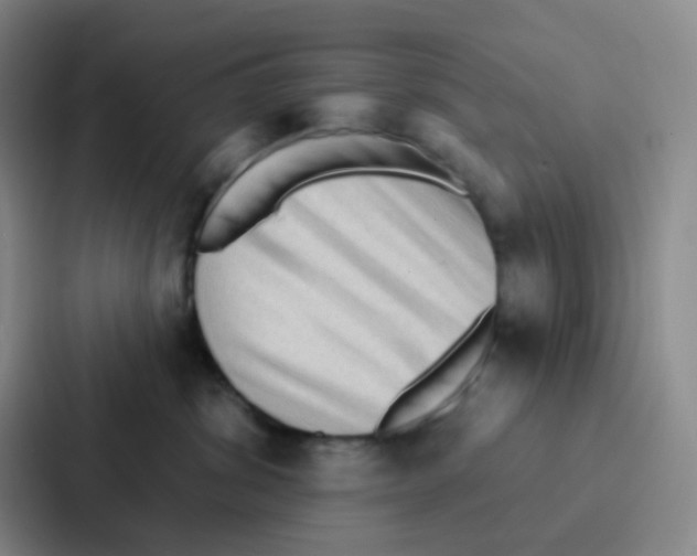 X0000086930428200705141746