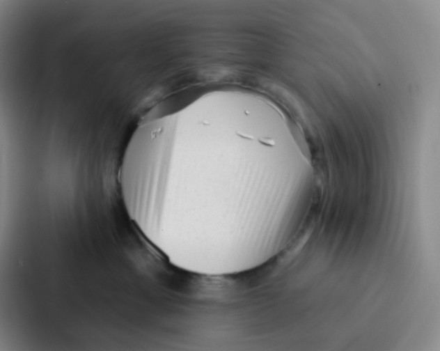 X0000086930429200705141746