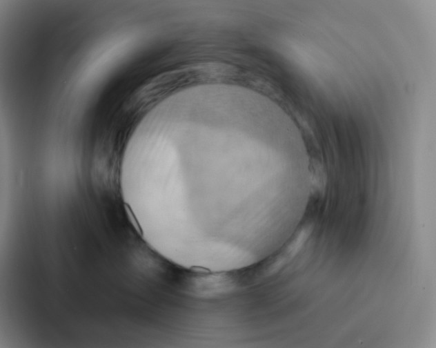 X0000086930431200705141746