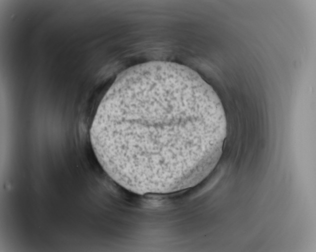 X0000086930432200705141746