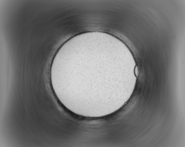 X0000086930433200705141745