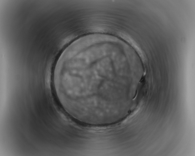 X0000086930434200705141745