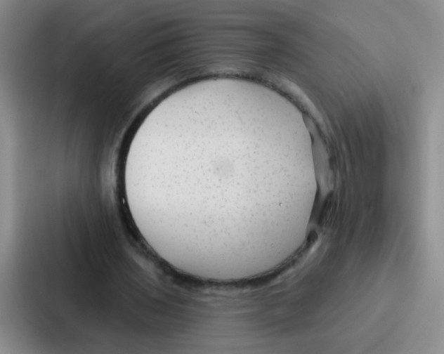 X0000086930435200705141745