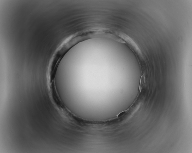 X0000086930436200705141745