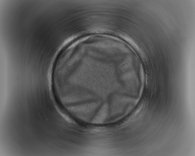 X0000086930438200705141745