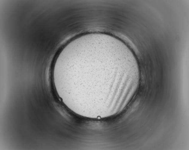 X0000086930439200705141745