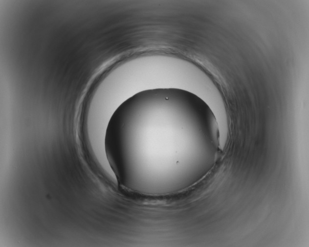 X0000086930440200705141745