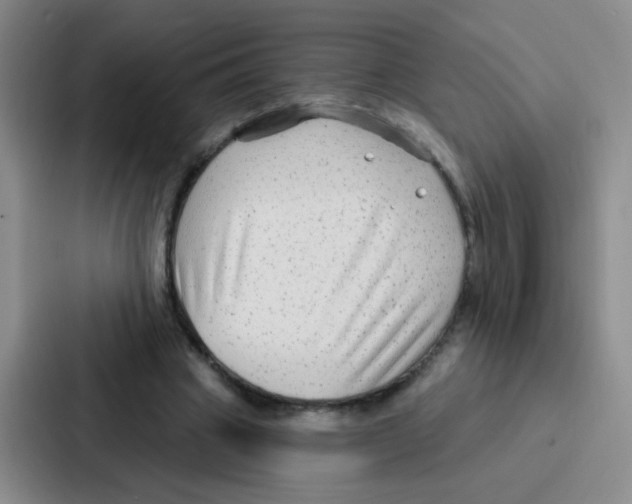 X0000086930441200705141745