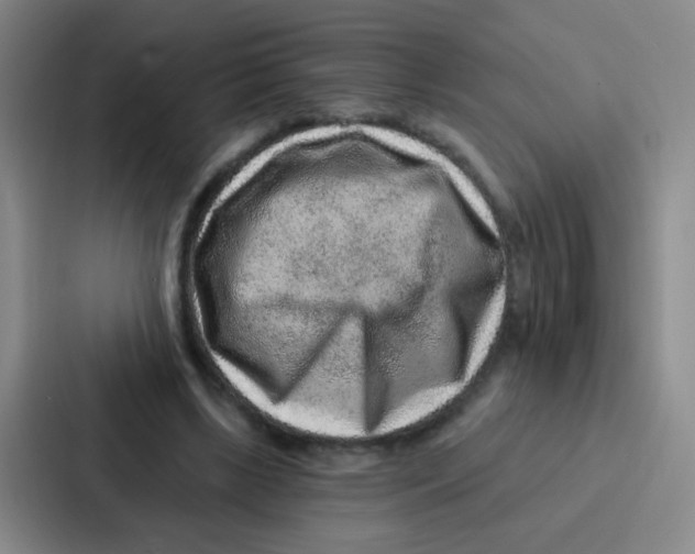 X0000086930443200705141745