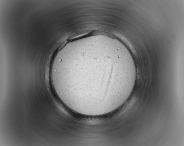 X0000086930445200705141745