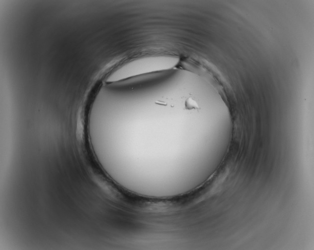 X0000086930446200705141745