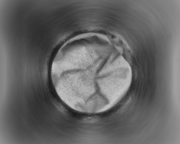 X0000086930447200705141745