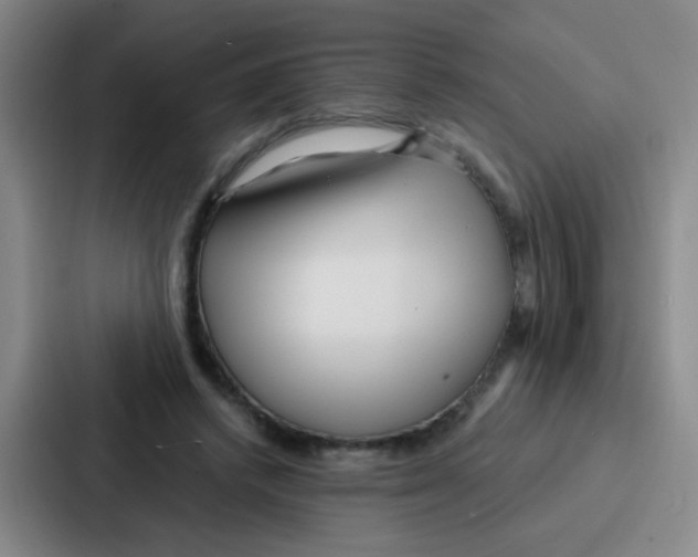 X0000086930448200705141745