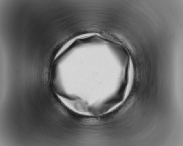 X0000086930449200705141745