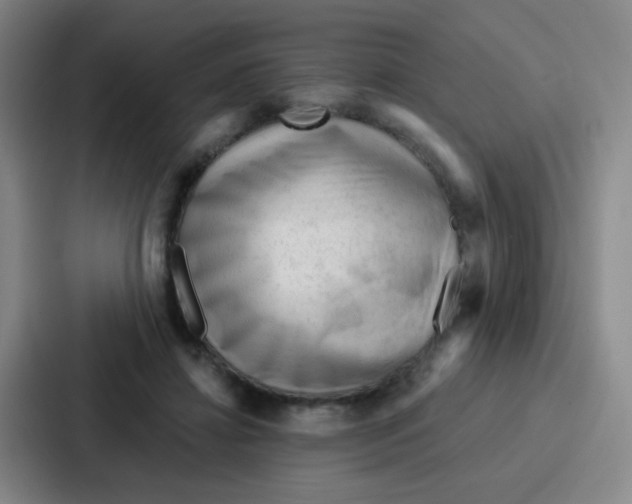 X0000086930452200705141745