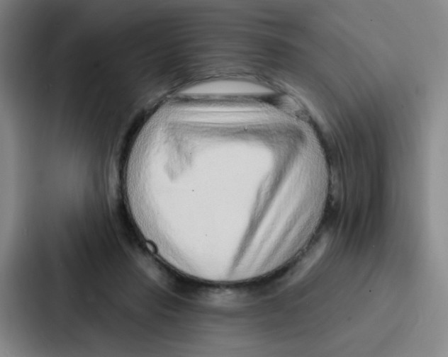 X0000086930453200705141745