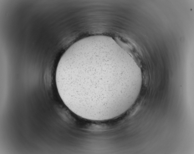 X0000086930455200705141745