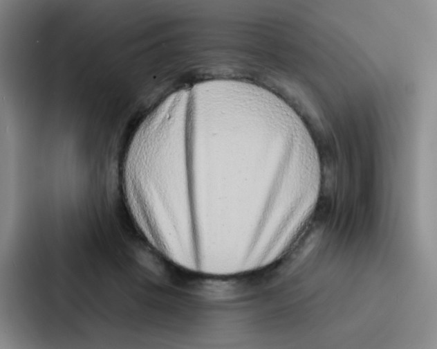 X0000086930457200705141745