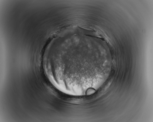 X0000086930458200705141746