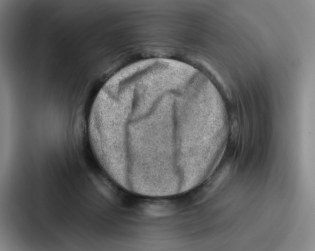 X0000086930459200705141746