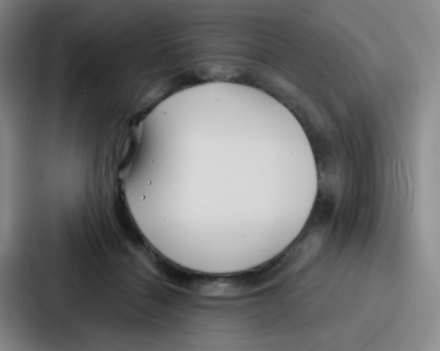 X0000086930460200705141746