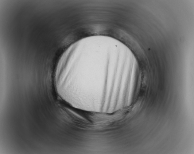 X0000086930461200705141746