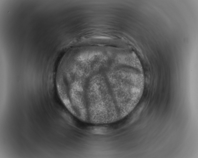 X0000086930462200705141746