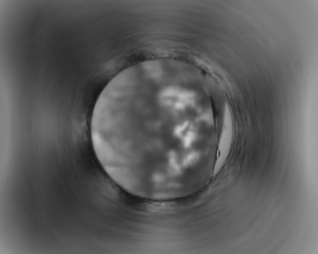 X0000086930465200705141746