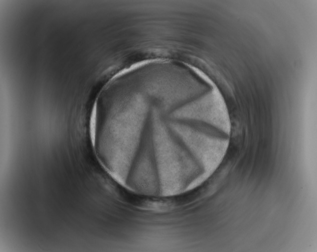 X0000086930466200705141746