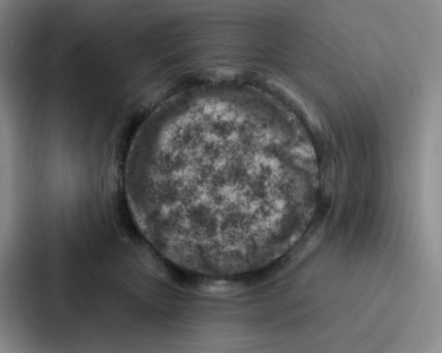 X0000086930467200705141746