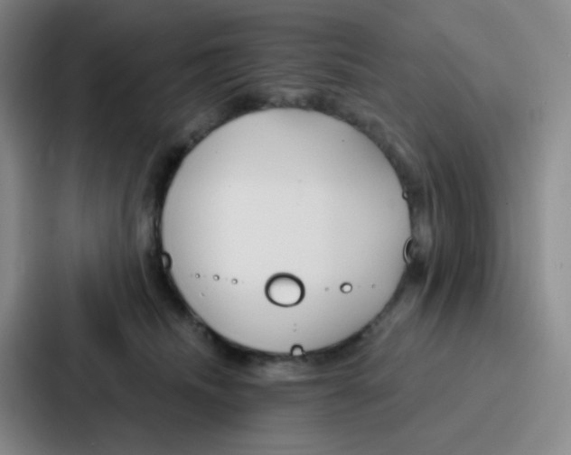 X0000086930468200705141746