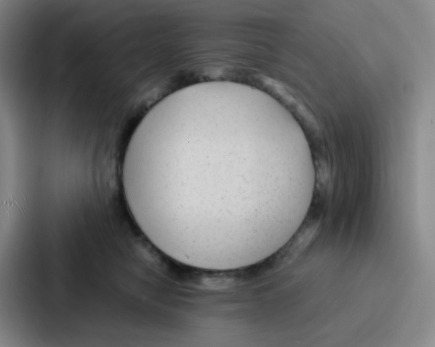 X0000086930470200705141746