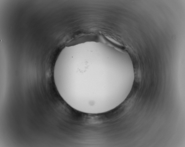 X0000086930472200705141746