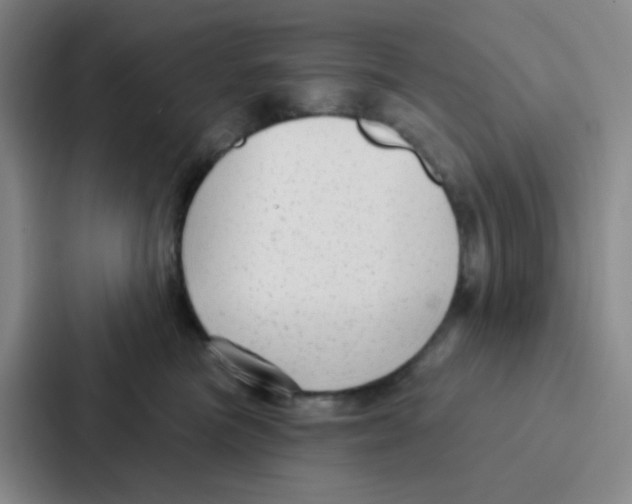 X0000086930473200705141746