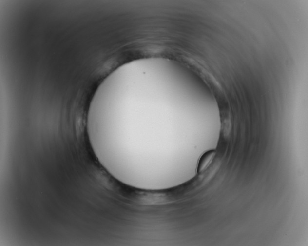 X0000086930476200705141746