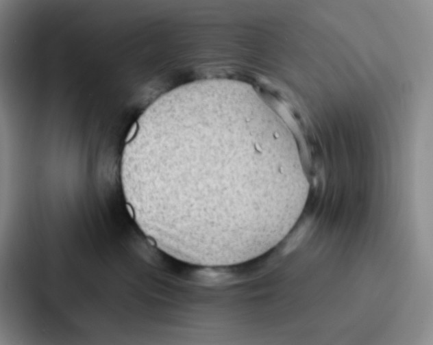 X0000086930477200705141746