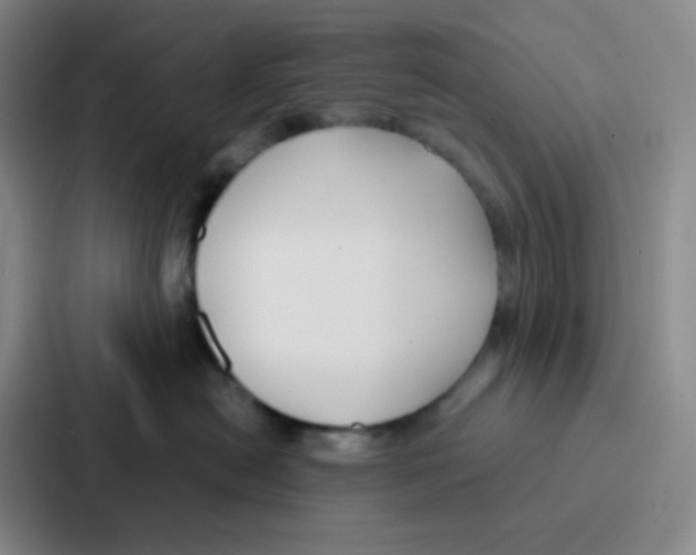 X0000086930478200705141746