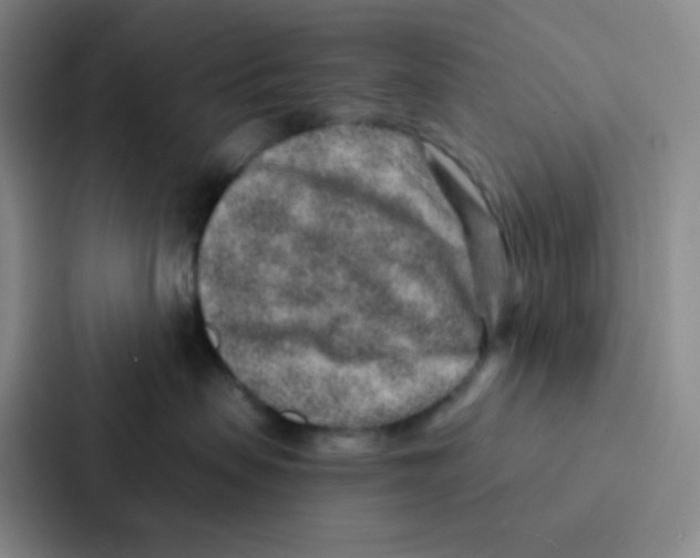 X0000086930479200705141746