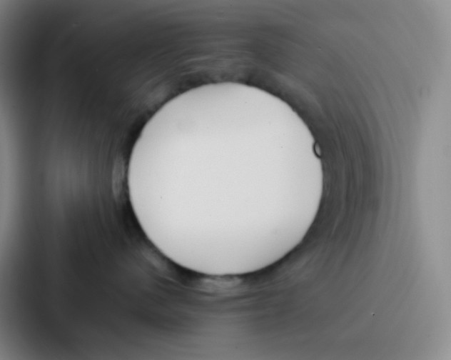 X0000086930480200705141746