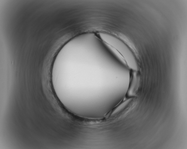 X0000086930481200705141745