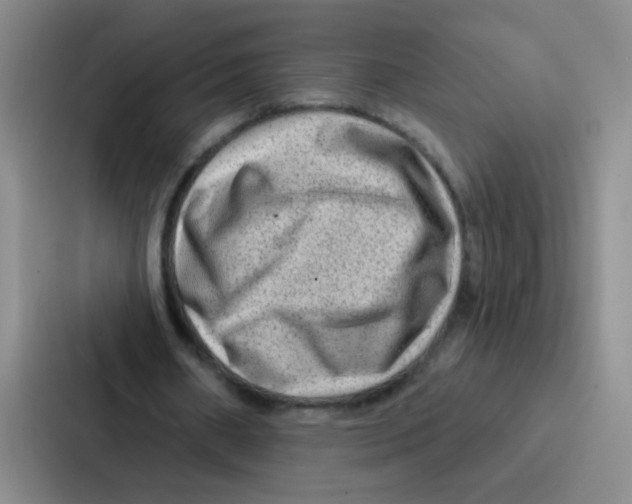 X0000086930482200705141745