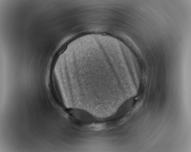 X0000086930484200705141745