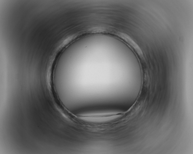 X0000086930485200705141745