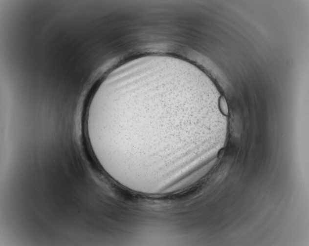 X0000086930486200705141745