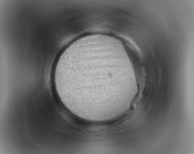 X0000086930487200705141745