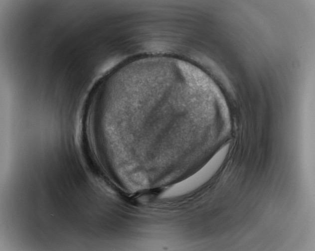 X0000086930488200705141745